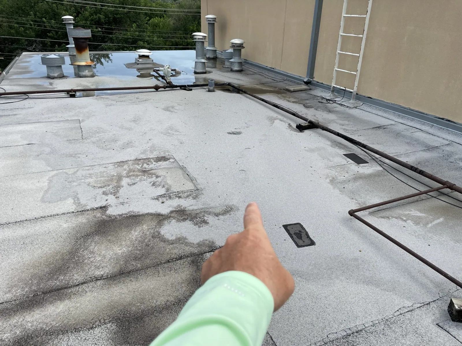 Hail Damage